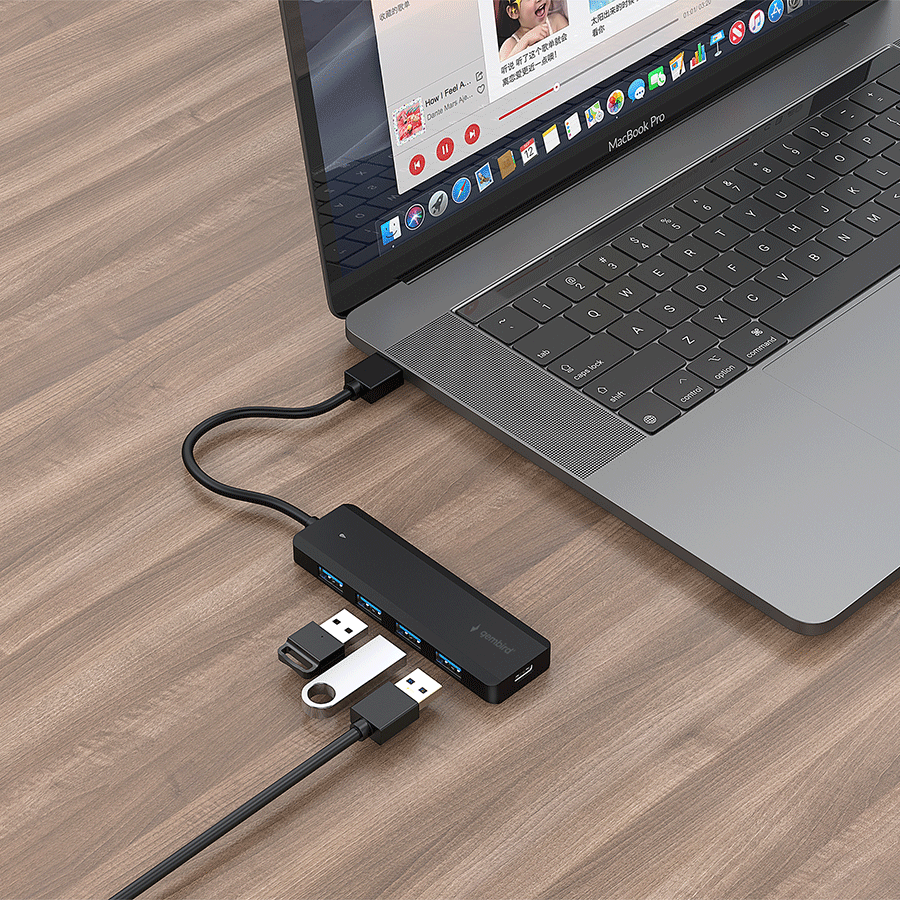 USB HUB USB GEMBIRD 1 X 3.1 (Gen 1), USB 3.x2.0 interfejsom UHB-U3P4P-02 - Image 3